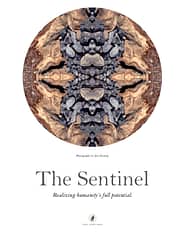 Sentinel Poster No. 2