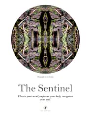 Sentinel Poster No. 1